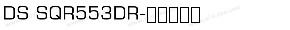 DS SQR553DR字体转换